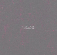 Линолеум Forbo Marmoleum Decibel on Order 373535 purple shimmer фото 1 | FLOORDEALER